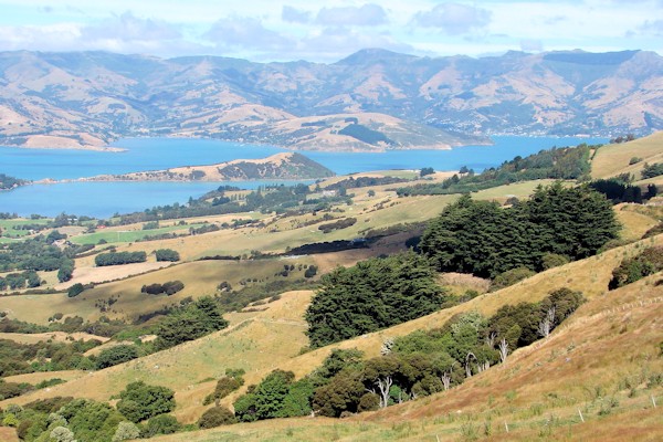 Akaroa Sound