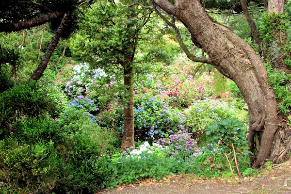 Botanical Gardens