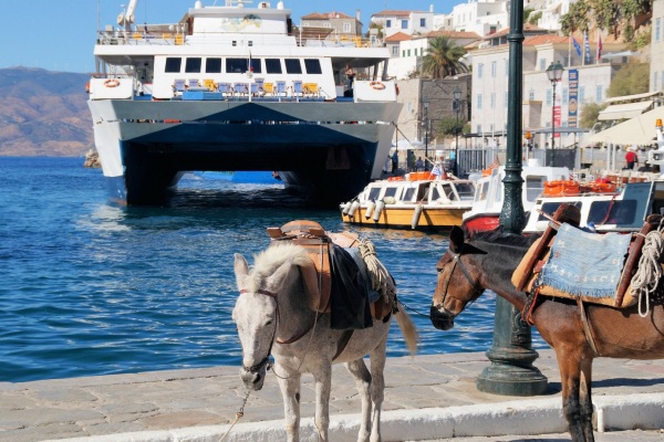 Hydra Transport