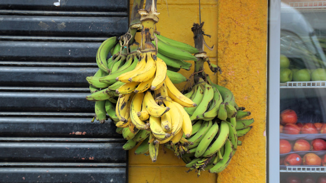 Bananas