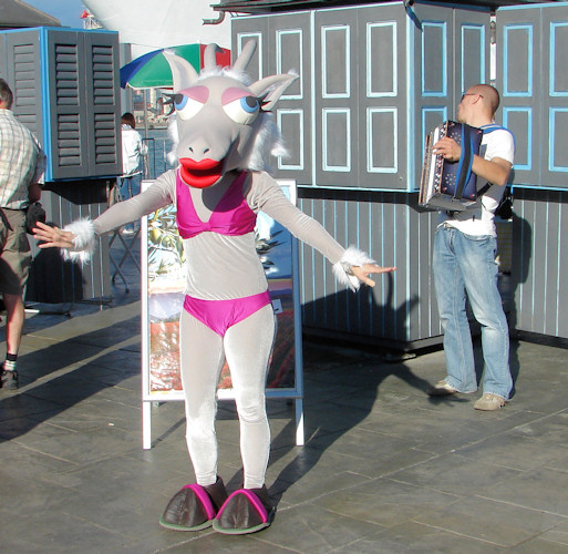 Dockside Greeting