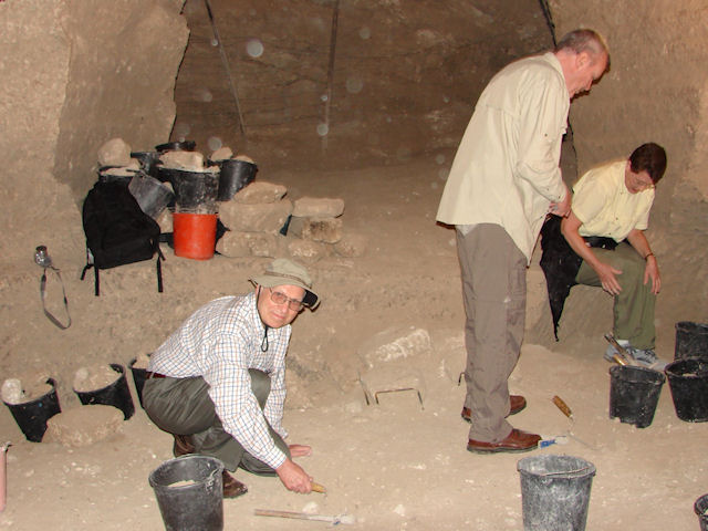 Archeologist Bob