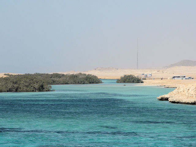 Ras Mohammed Park - Mangroves