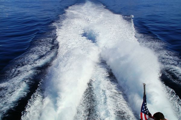 Catamiran wake