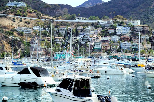 Avalon Harbor