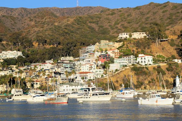 Avalon Harbor