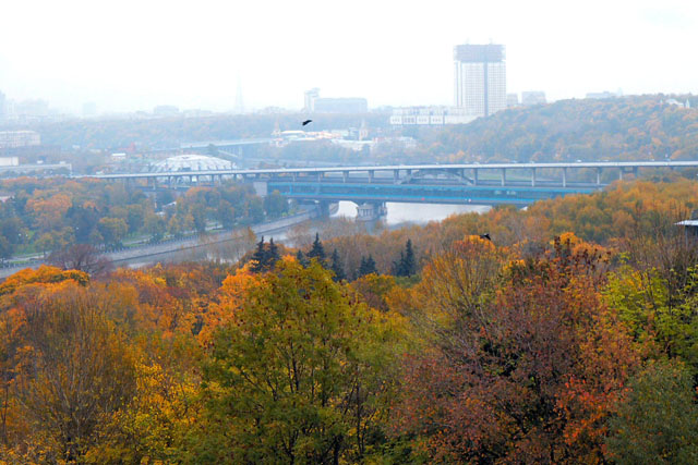 Olympics Area