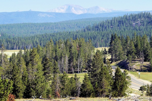Along the Madison River