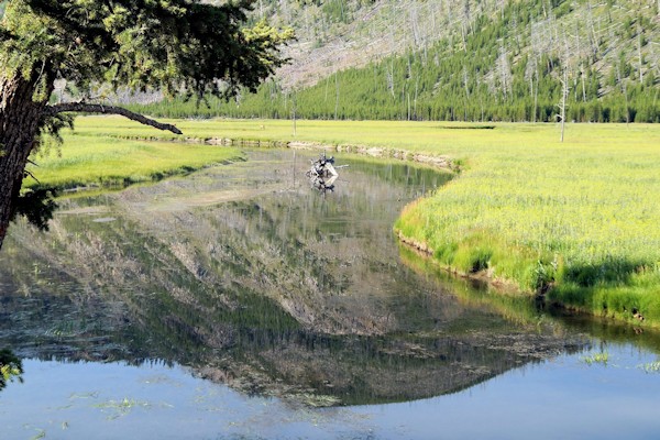 Madison River