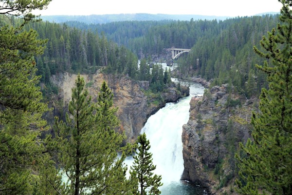 Upper Falls of the Yellowstone